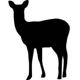 kphmph.wordpress.com-white_tailed_deer-id